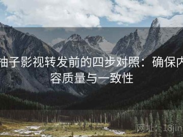 柚子影视转发前的四步对照：确保内容质量与一致性